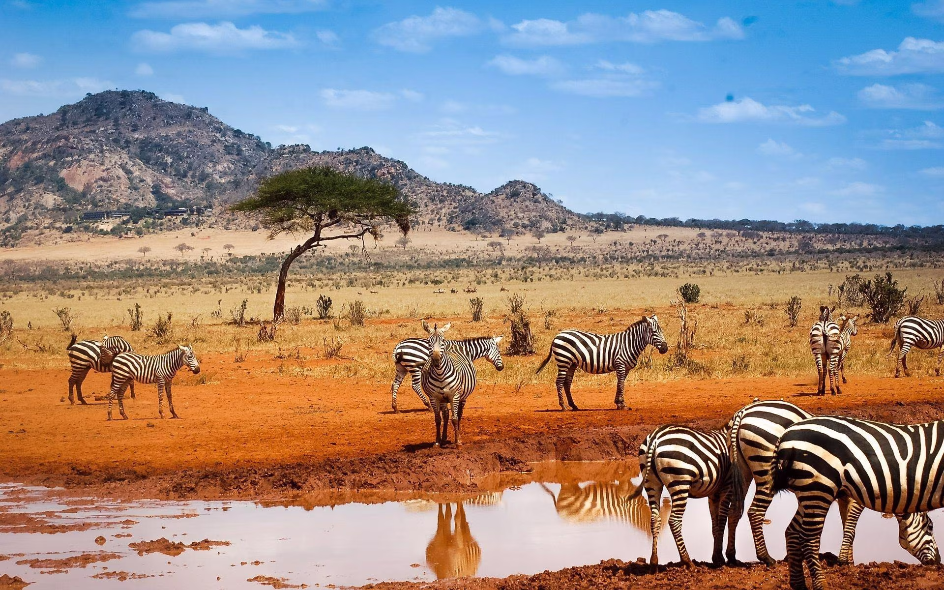 Namibia in Private 4x4 - Luxury